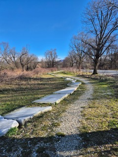 PHOTO-2026-02-18-07-41-49(2)