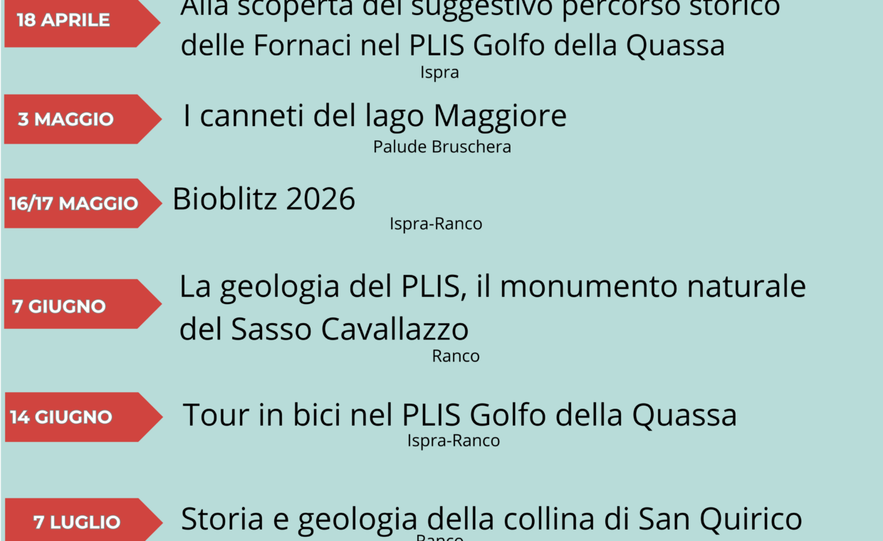 Locandina eventi Quassa 2026(1)