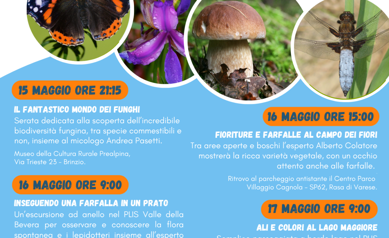 CAMPO_FIOR