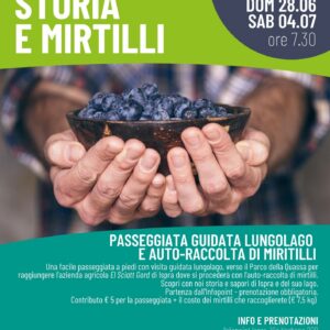 mirtilli