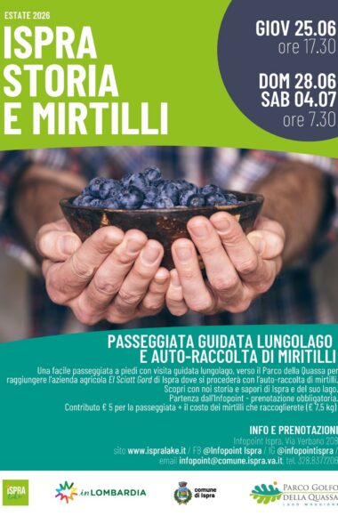 mirtilli