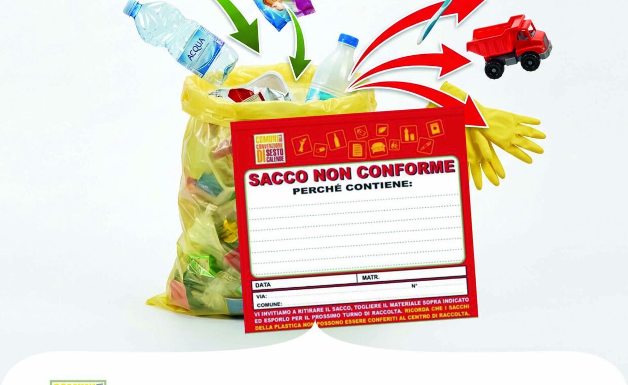 sacchi
