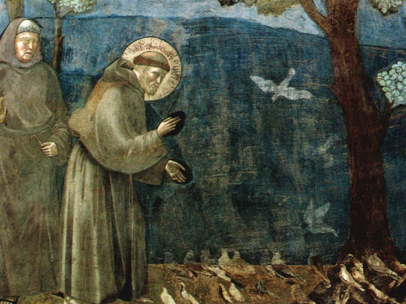 san francesco