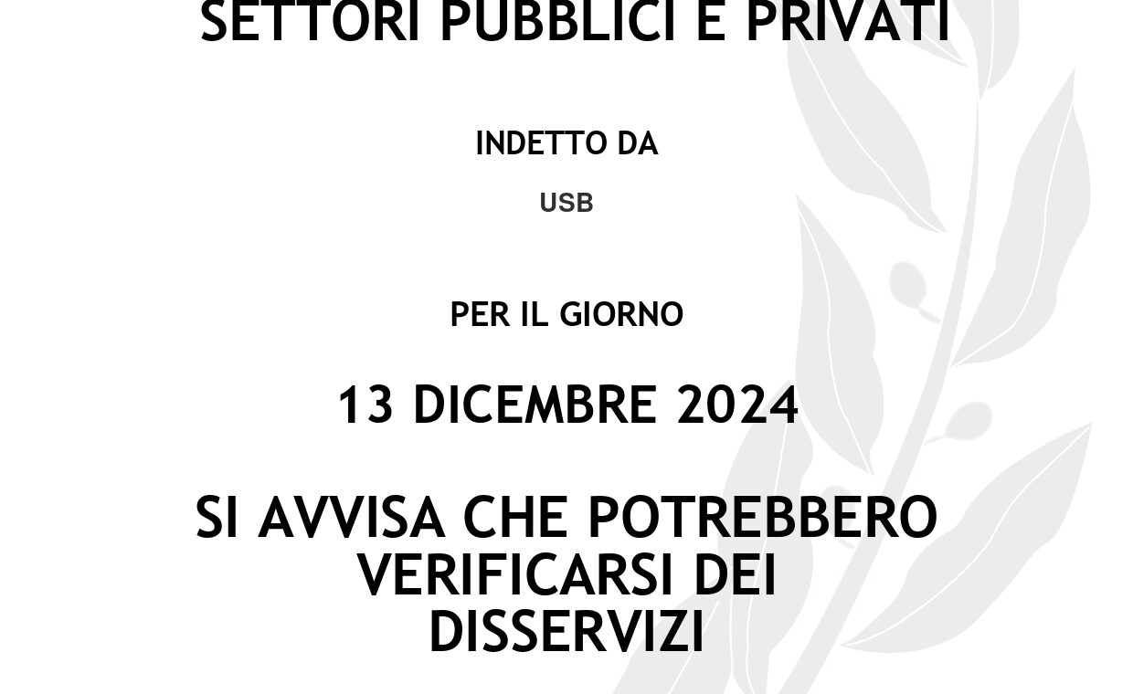 13 dic sciopero usb