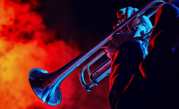 immagini per sito 620x380