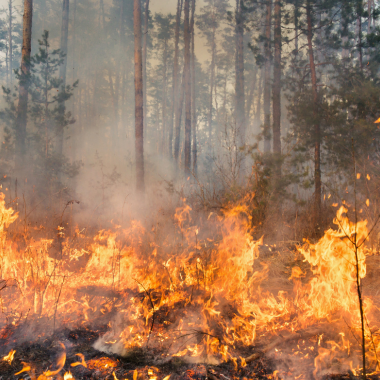 incendio