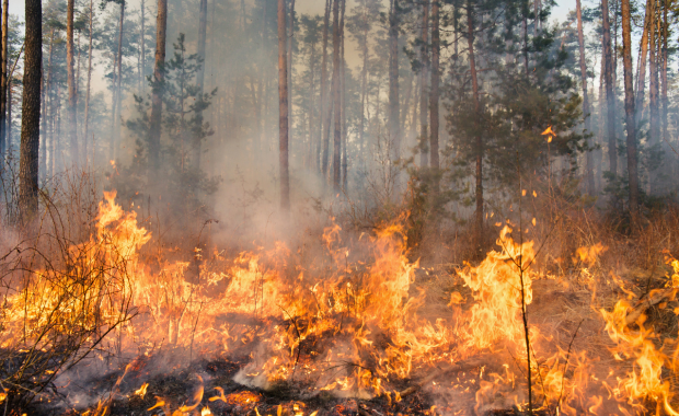 incendio