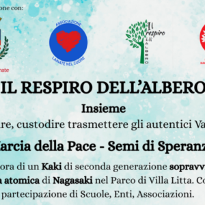 respiro albero 2