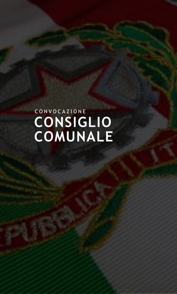 consiglio comunale