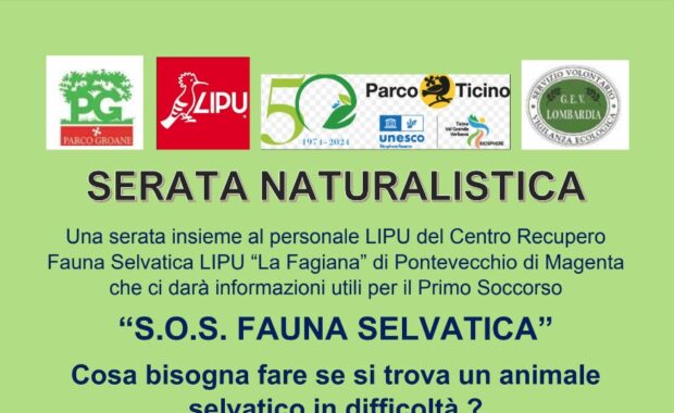 Immagine 2024-02-16 090852