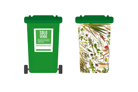 Immagine per SITO RACCOLTA VERDE