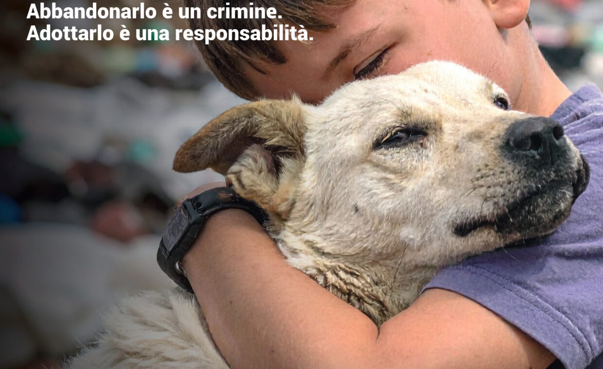 abbandono generico_cane_page-0001