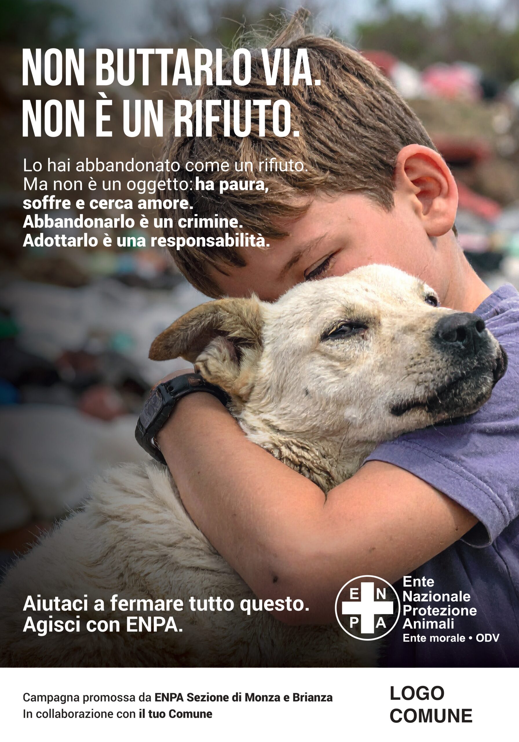 abbandono generico_cane_page-0001