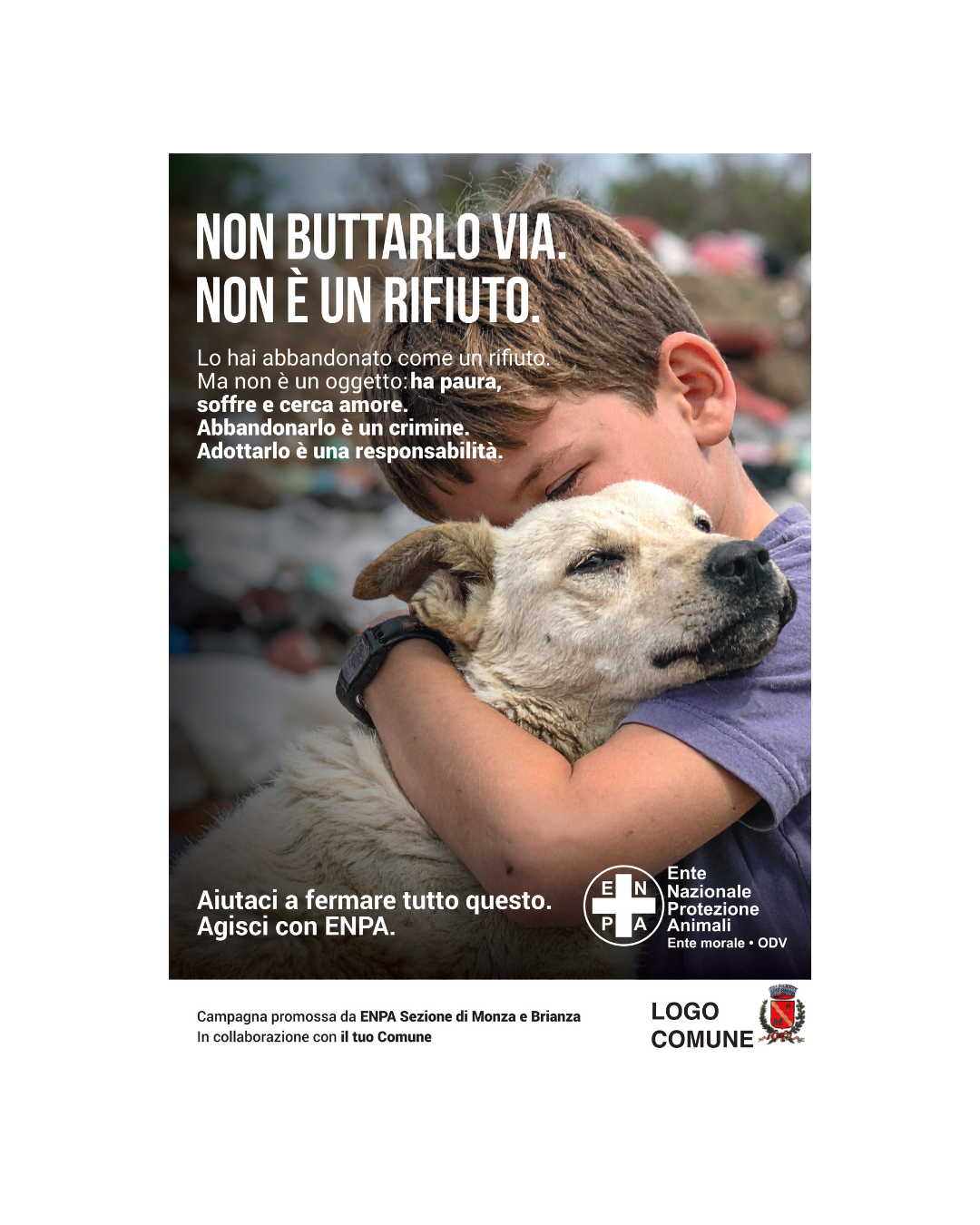 antiabbandono cani