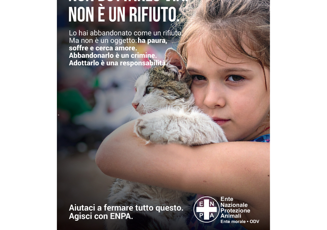 antiabbandono gatti