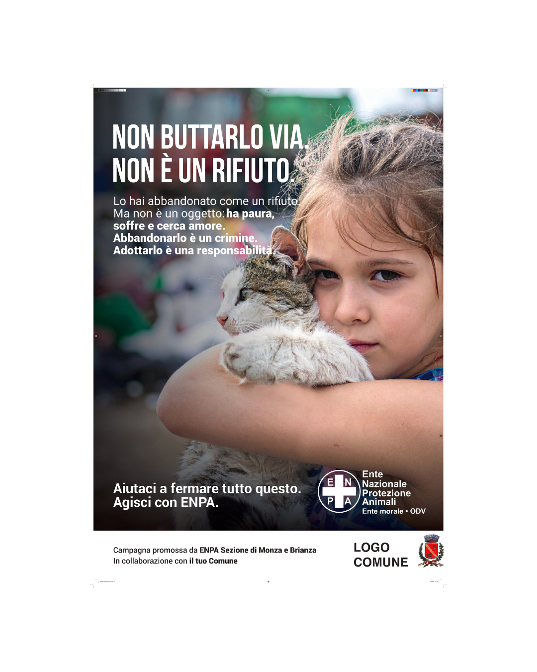 antiabbandono gatti