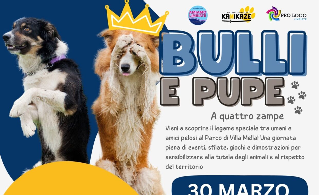 Bulli e pupe_20250319_181848_0000 (1)