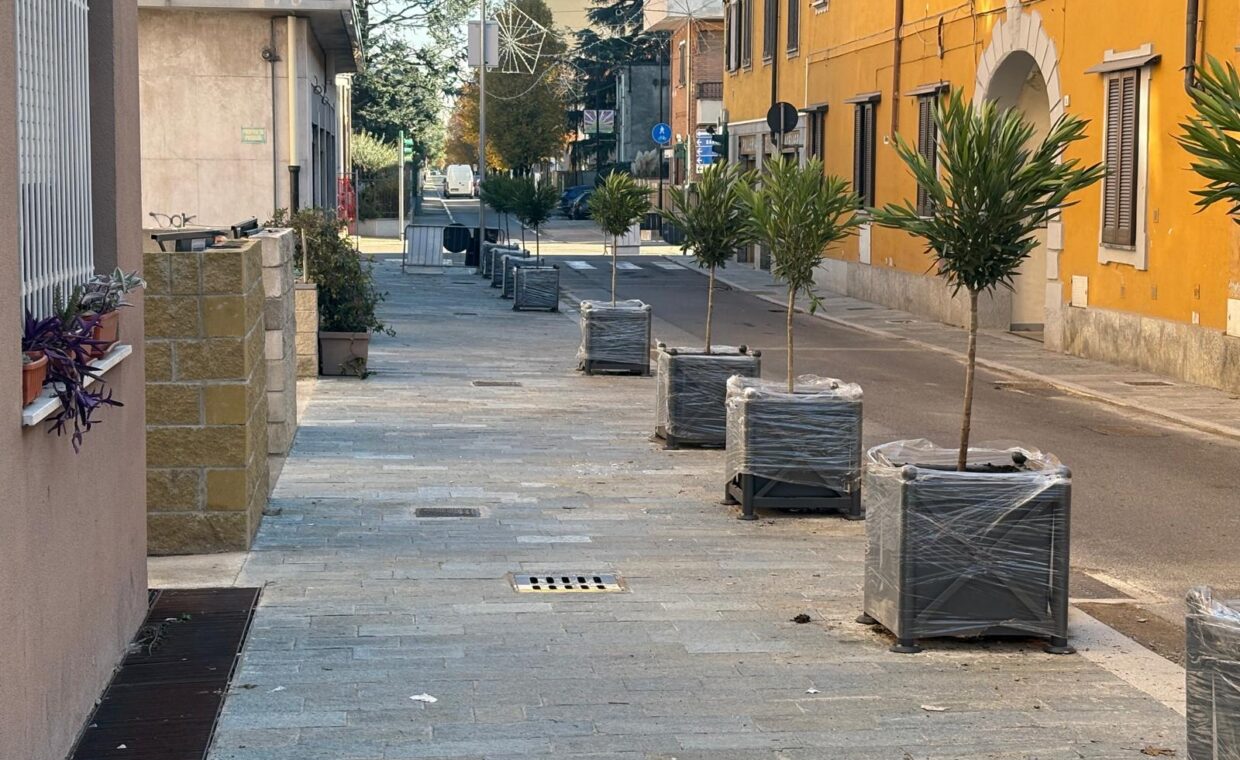 WhatsApp Image 2025-11-28 at 13.01.51