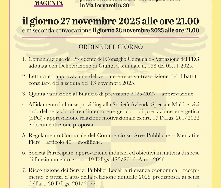 Manifesto Consiglio Comunale 27.11.2025