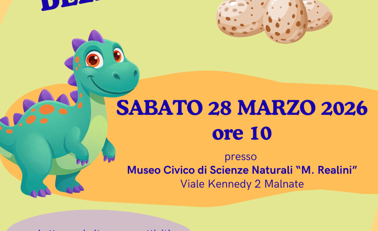 Letture 28 Marzo 2026 Museo locandina
