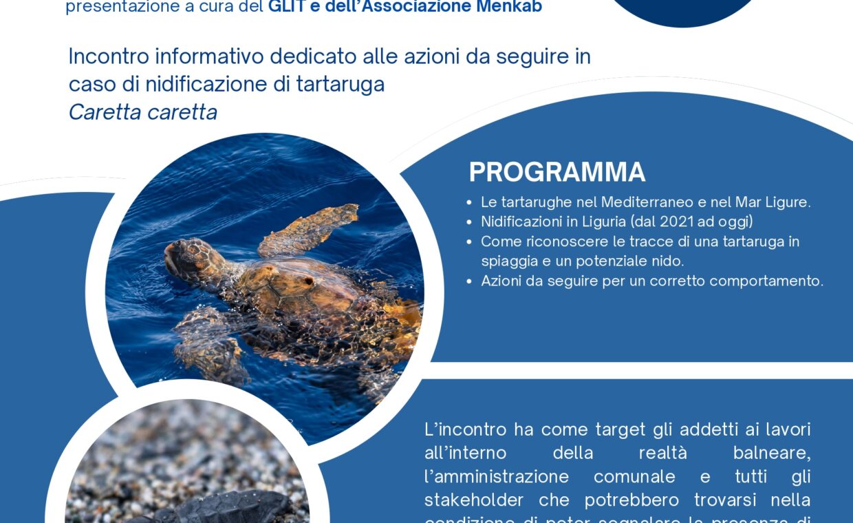 Conferenza