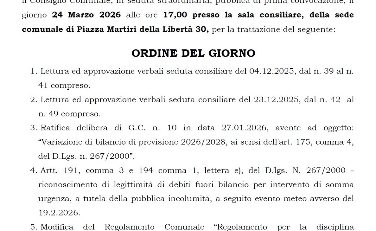 Consiglio Comunale 24032026