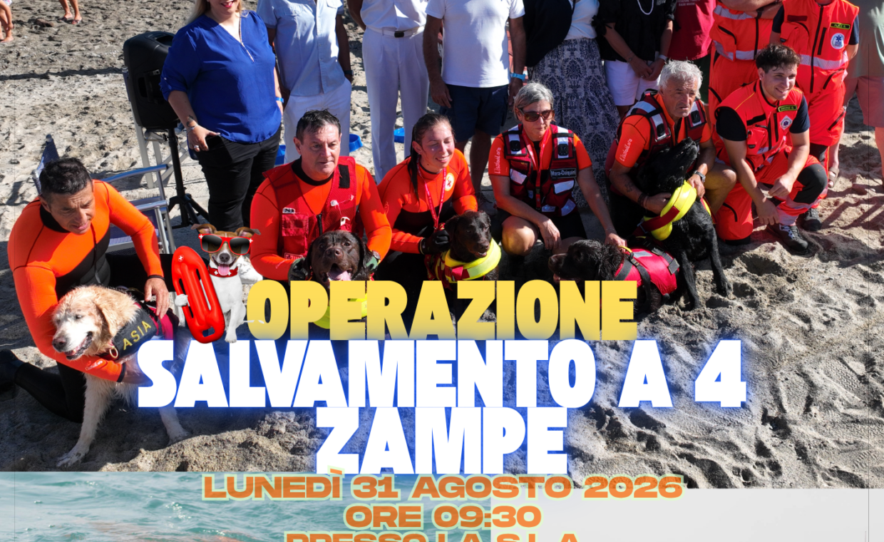 Volantino salvamento 4 zampe 2026