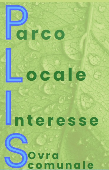 Immagine 2026-05-15 142025