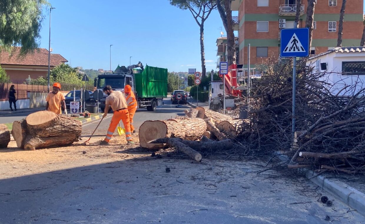 Foto4
