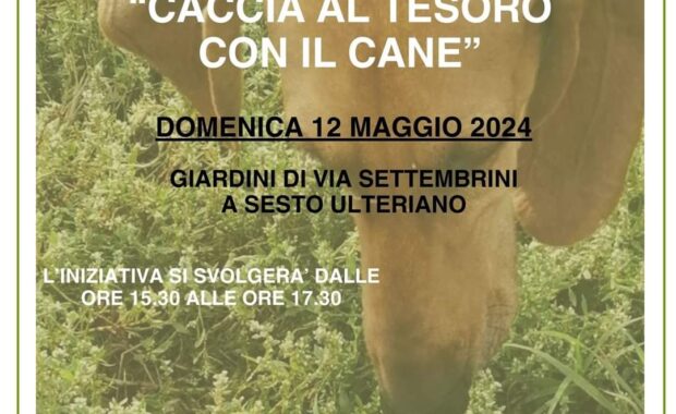 facebook_1715266623338_7194349659335123763 (1)