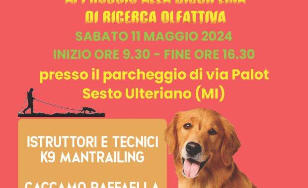 locandina RAGIO' DI SOLE MANTRAILING 11 maggio 2024 (1)