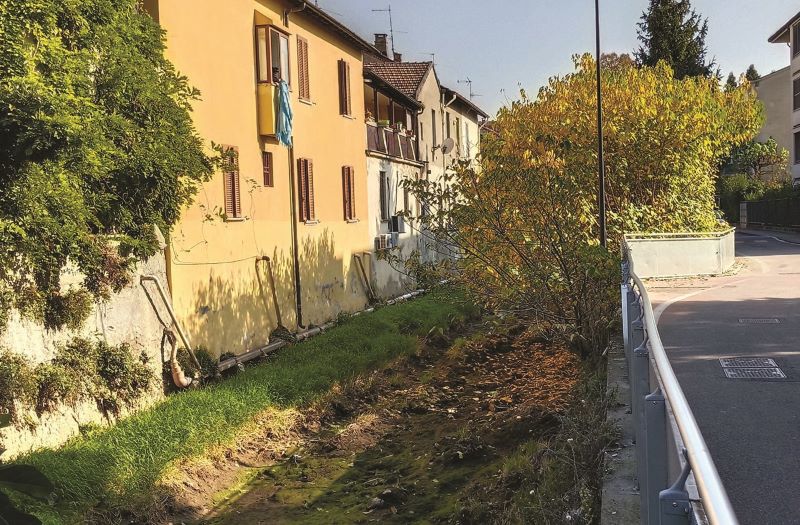 Redefossi magri toscani