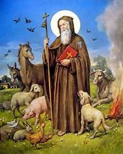 benedizione_animali_san_antonio_abate