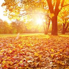 autunno