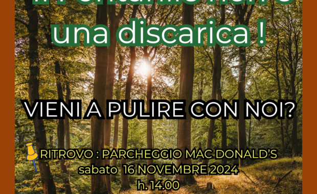 il fontanile non è una discarica 16 novembre 2024