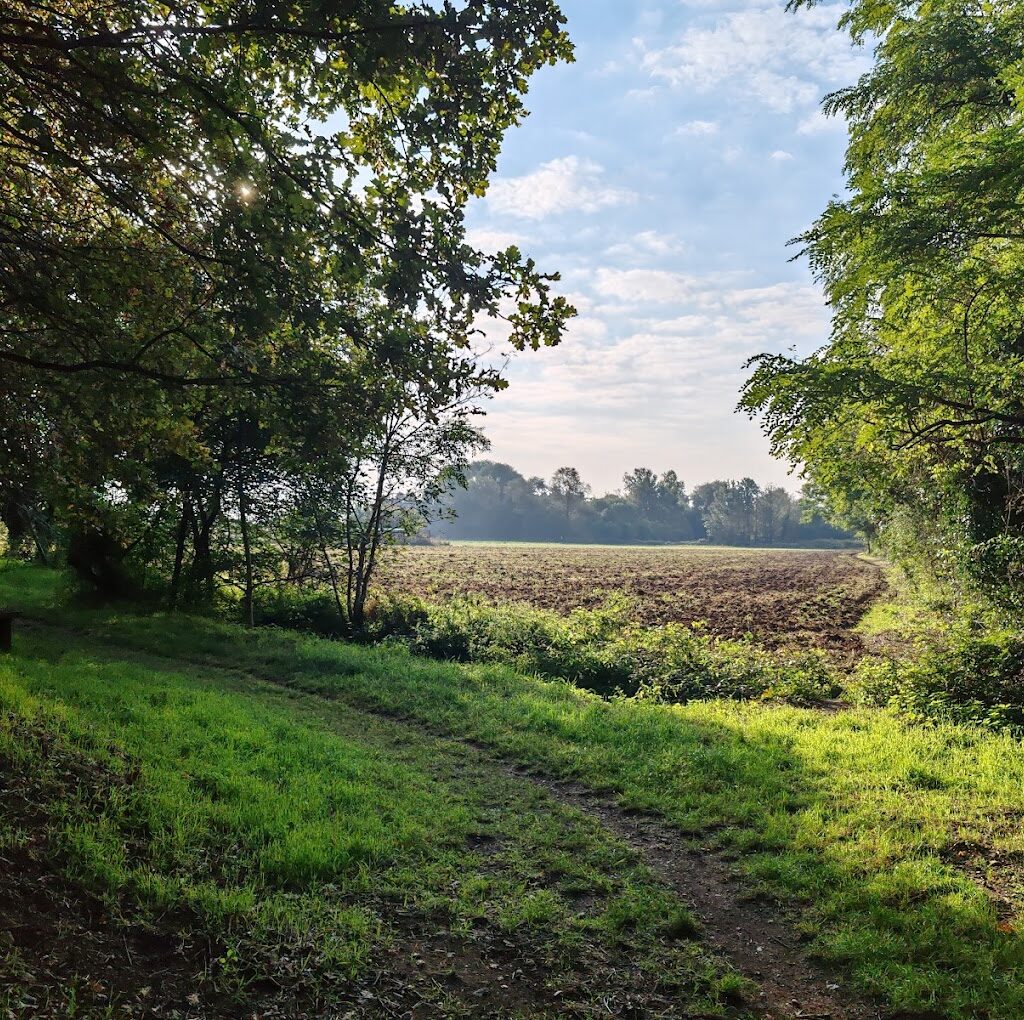 percorso filosofico di bareggio