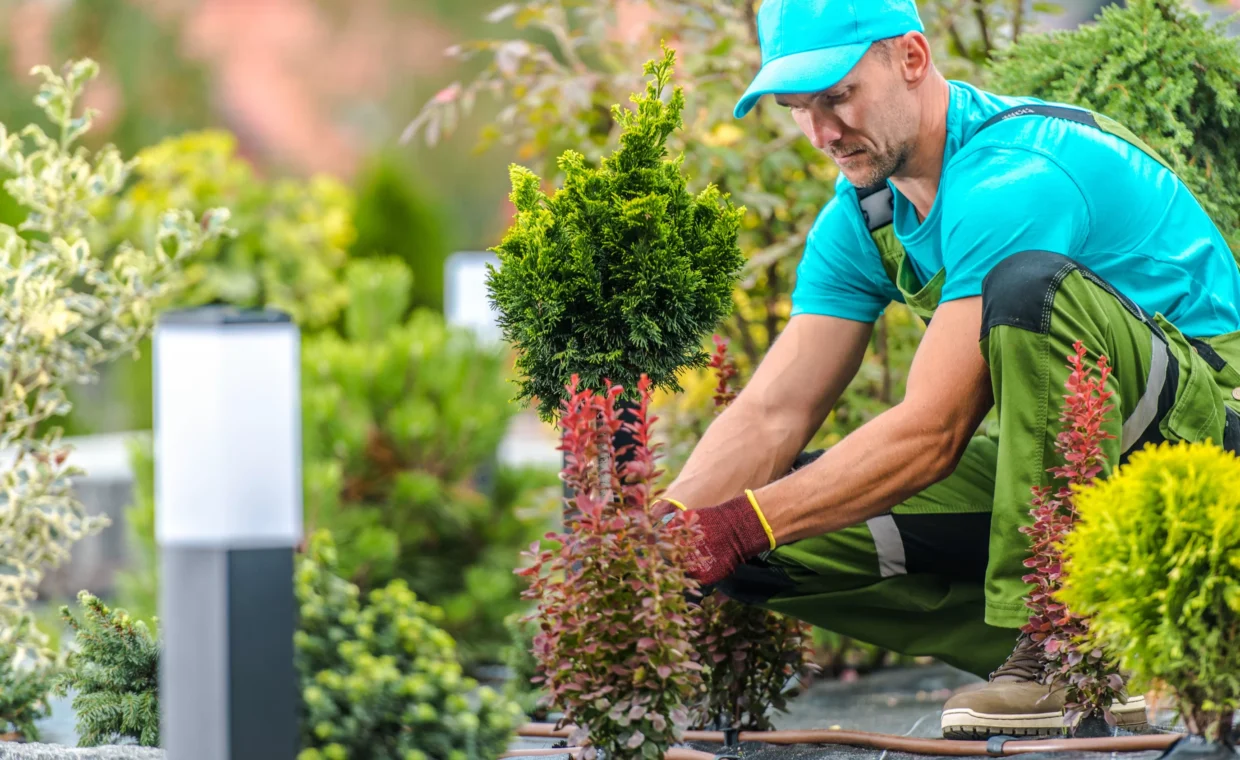 manutentore-del-verde-1