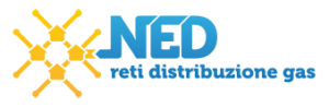 NED_logotipo2016_RGB-300x98