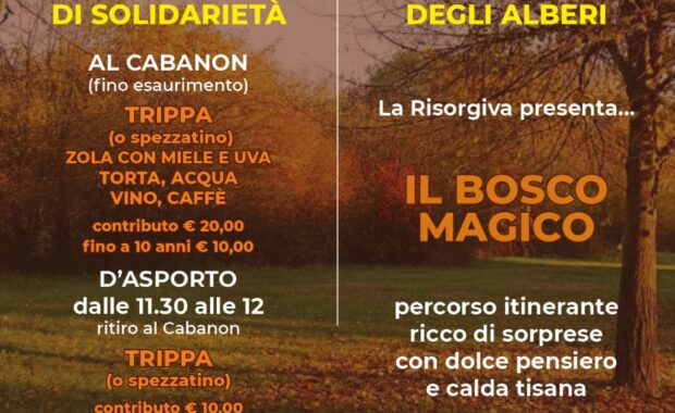 AutunnoAlberi2024