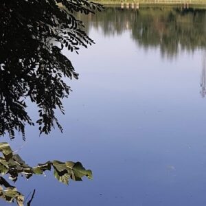 Parco del Laghetto