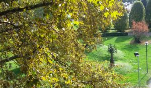 parco-terraluna-300x175