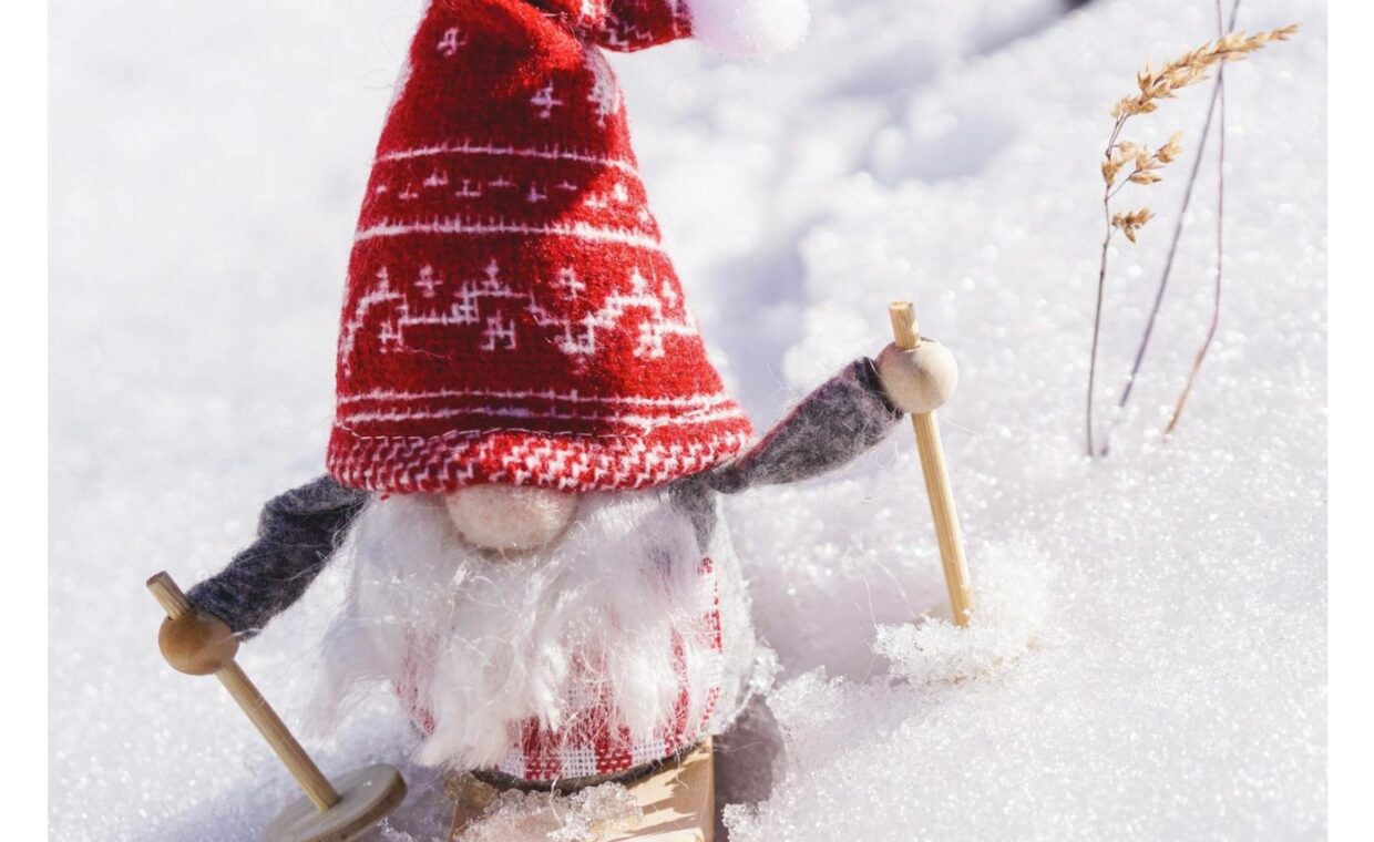 Caccia allo gnomo per sito