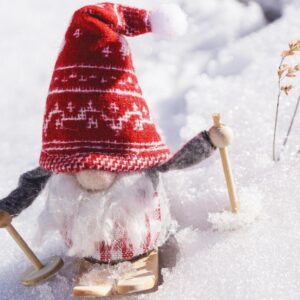 Caccia allo gnomo per sito