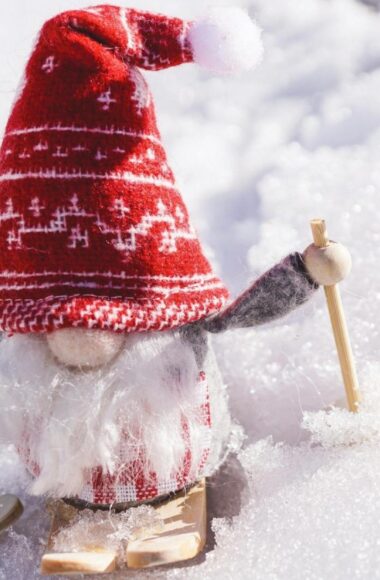 Caccia allo gnomo per sito