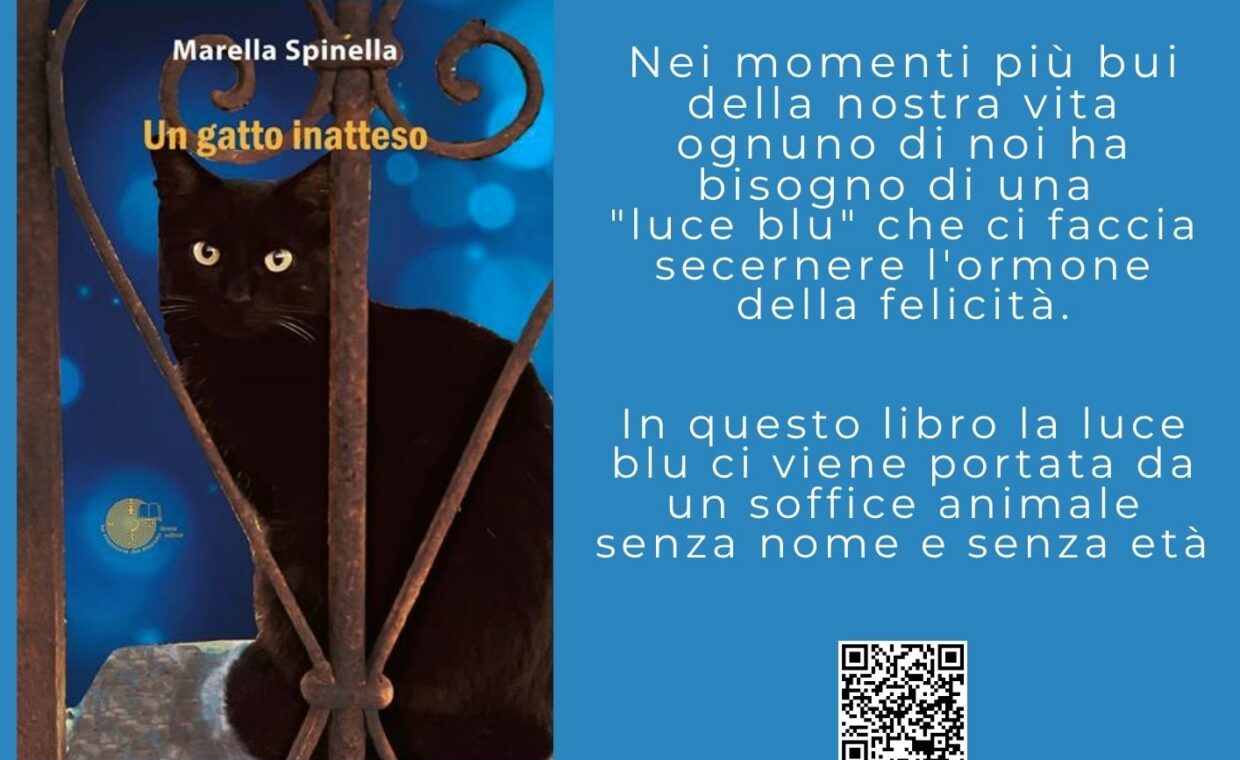 Presentazione libro Marella Spinella
