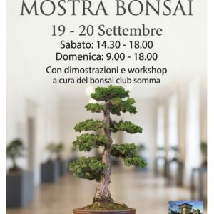 Mostra e workshop bonsai 2026