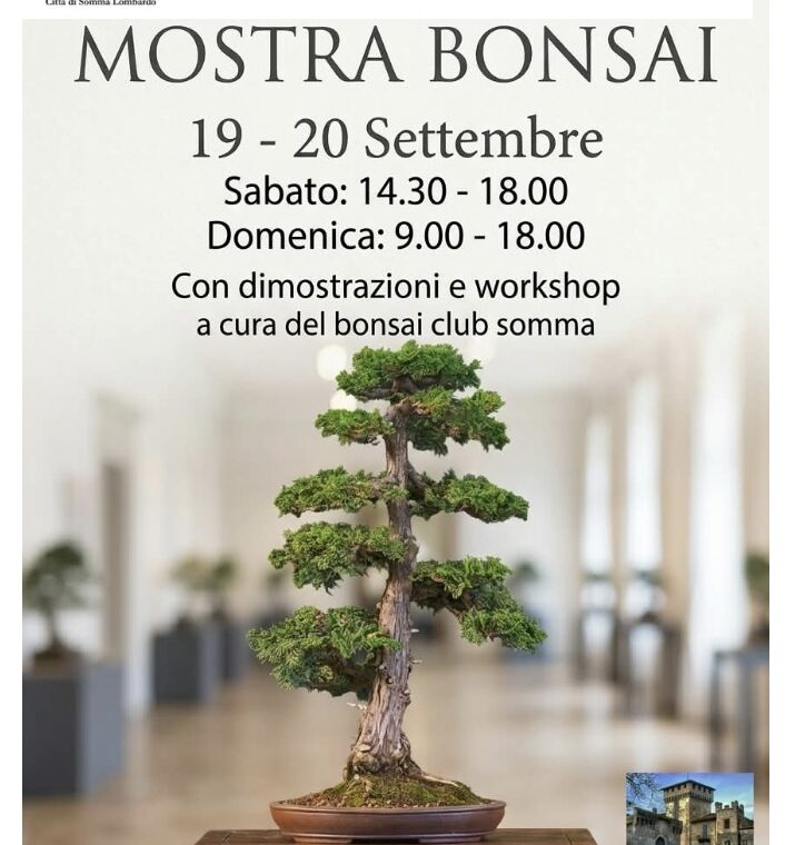 Mostra e workshop bonsai 2026