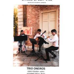 Concerto trio oneiros