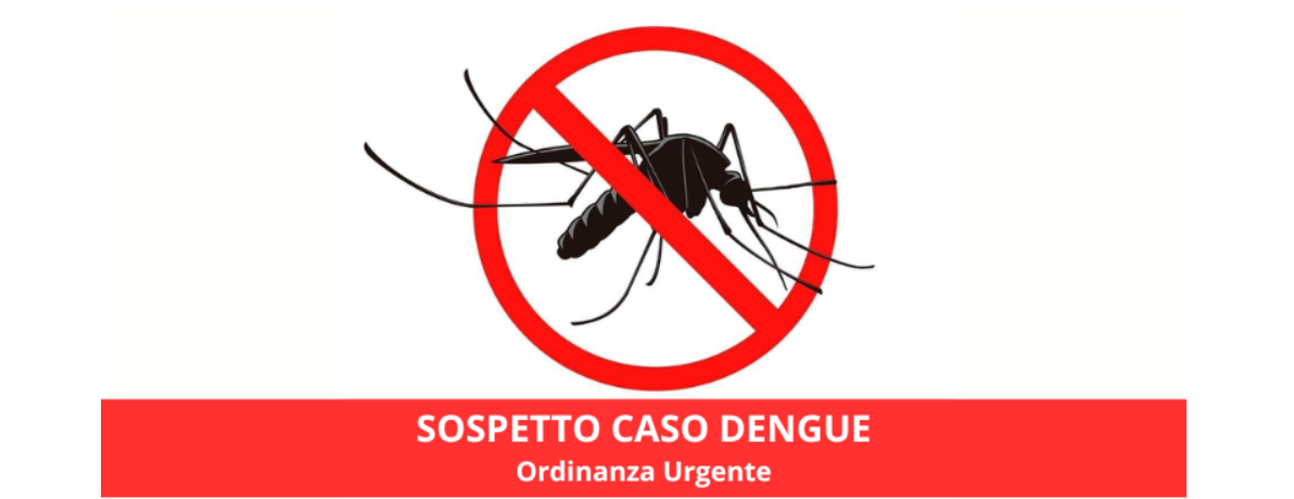 zanzara dengue