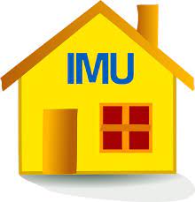 imu